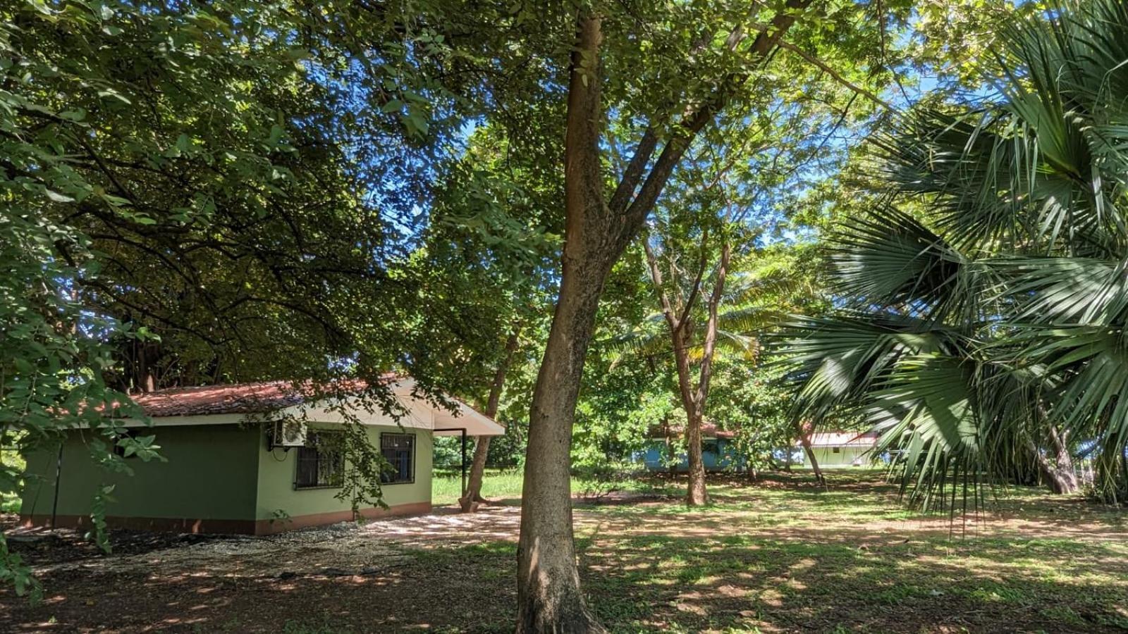 Iguana Street Houses Coco Exterior photo